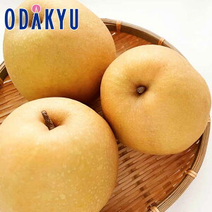 ~ Mtg  挧Y H 3.5kg b11{`12{̊Ԃɏ͂Eւ͓͕s()