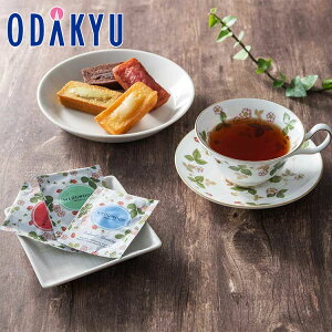 ~ Mtg  tBiVF & EFbWEbh Xgx[TBA\[g bẃEւ͓͕s()