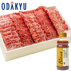 ~ Mtg  m 󑐍 n Yјa ēp  E o E  650g ē̃^t bẃEւ͓͕s()