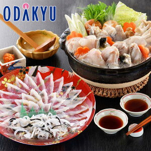 ~ Mtg  m ւƂ{X n ӂ  ʎ蔠 FR-100F14Z bẃEւ͓͕s()