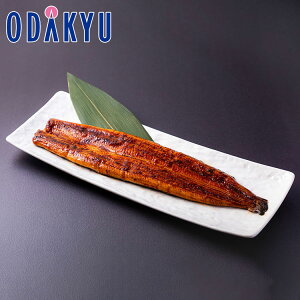 ~ Mtg  mEF O͐YH mO͈FY{Ȃ bẃEւ͓͕s()