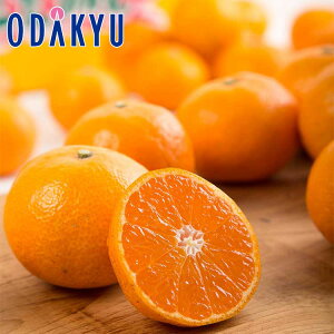 ~ Mtg  a̎R Lc݂ 3kg b12{`2026N1{̊Ԃɏ͂kCElEBEEւ͓͕s()