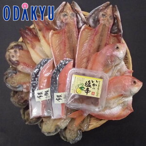 ~ Mtg  EĎqm ؉ n g̈ bẃEւ͓͕s()