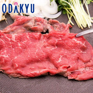 ~ Mtg  F{Y ʋ ĂpԐg bẃEւ͓͕s()