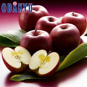 ~ Mtg  MBܖY  b1127`12{̊Ԃɏ͂Eւ͓͕s()