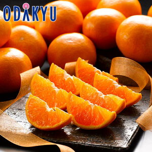 ~ Mtg  ÉOY AMbg݂ 3kg b1128`12{̊Ԃɏ͂Eւ͓͕s()