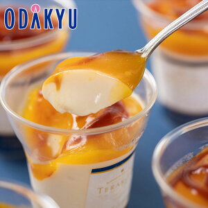 ~ Mtg  E TERAKOYAďC Z}S[v bẃEւ͓͕s()