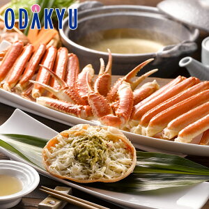 ~ Mtg  {C킢Ɏp 450g × 2t bẃEւ͓͕s()