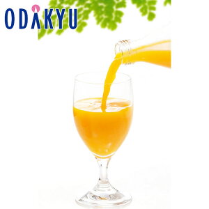 ~ Mtg  F{m c_ n B܂邲ƂڂfR| 8{Zbg bẃEւ͓͕s()