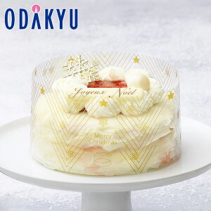 NX}XP[L m JTlI n NX}X ~N[ 낲ʓ̃x[x[ 2l ` 4l Ⓚ 2025 bw(12/20-25)́ꌧEւ͓͕s(X)