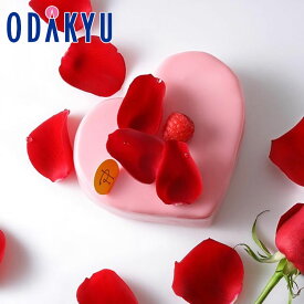 クリスマスケーキ ［ ピエール・エルメ・パリ ］ クール ミロワール イスパハン 2人分 〜 4人分 冷凍 2025 ｜指定日(12/20-25)届※沖縄県・離島へは届不可(X)