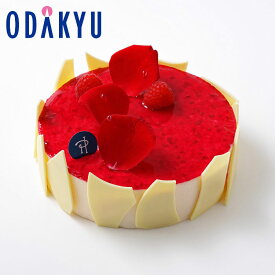 クリスマスケーキ ［ ピエール・エルメ・パリ ］ チーズケーキ イスパハン 4人分 〜 6人分 冷凍 2025 ｜指定日(12/20-25)届※沖縄県・離島へは届不可(X)