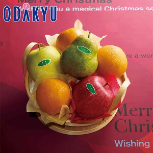 NX}X 2025 m Vh n NX}XoXPbgA b1221`1225̂ɏ͂Eւ͓͕s(X)