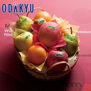 NX}X 2025 m Vh n NX}XoXPbgB b1221`1225̂ɏ͂Eւ͓͕s(X)