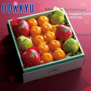 NX}X 2025 m Vh n NX}X{ʃgI b1221`1225̂ɏ͂Eւ͓͕s(X)