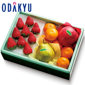 NX}X 2025 m Vh n NX}XoGeB[B b1221`1225̂ɏ͂Eւ͓͕s(X)