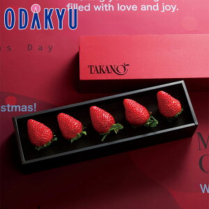 NX}X 2025 m Vh n NX}XXgx[A b1221`1225̂ɏ͂Eւ͓͕s(X)