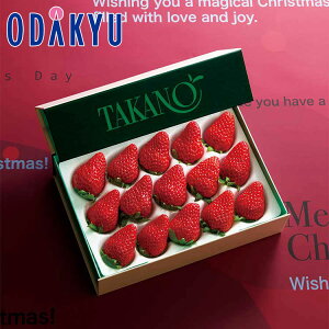 NX}X 2025 m Vh n NX}XXgx[ b1221`1225̂ɏ͂Eւ͓͕s(X)