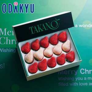 NX}X 2025 m Vh n NX}X E gZbg b1221`1225̂ɏ͂ E ւ͓͕s(X)