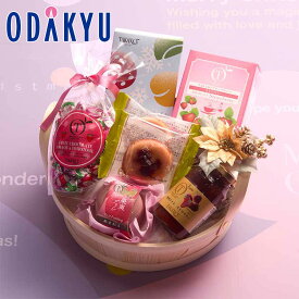 クリスマス 2025 ［ 新宿高野 ］ クリスマスストロベリ—スイーツギフト ｜12月21日〜12月25日のあいだに順次お届け※沖縄・離島へは届不可(X)