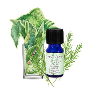 odecomart y[p[ [IׂS7] & nA}IC GbZVIC 10ml [IׂS8̍] Zbg GR { dCsv  ItBX y[p[ GRW[ 