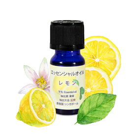 水溶性アロマオイル エッセンシャルオイル 10ml 選べる8種類の香り アロマ アロマオイル 水溶性タイプ 加湿器 ディフューザー 対応 レモン キンモクセイ 金木犀 ローズ ラベンダー グレープフルーツ ユーカリ オレンジ ローズマリー