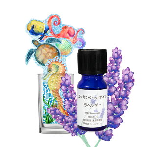 odecomart y[p[ [IׂS7] & nA}IC GbZVIC 10ml [IׂS8̍] Zbg GR { dCsv  ItBX y[p[ GRW[ 