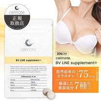 楽天市場】セルノートの通販