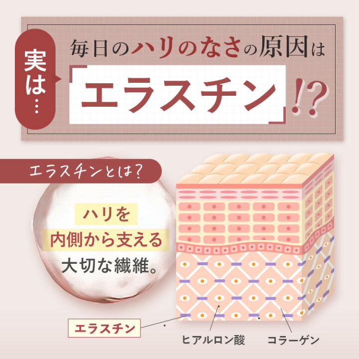 楽天市場】cellnote. BV LINE supplement+ Premium (ボリュームライン 