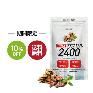 y}\10OFFzfinebase u[XgJvZ2400 30(30)@AXgWƃNXA_ێ20v~bNX̓̓_یzB AXgW fV`jW Lo