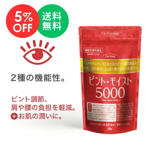 y}\5OFFzfinebase sgECXg5500 ڂ̔sg