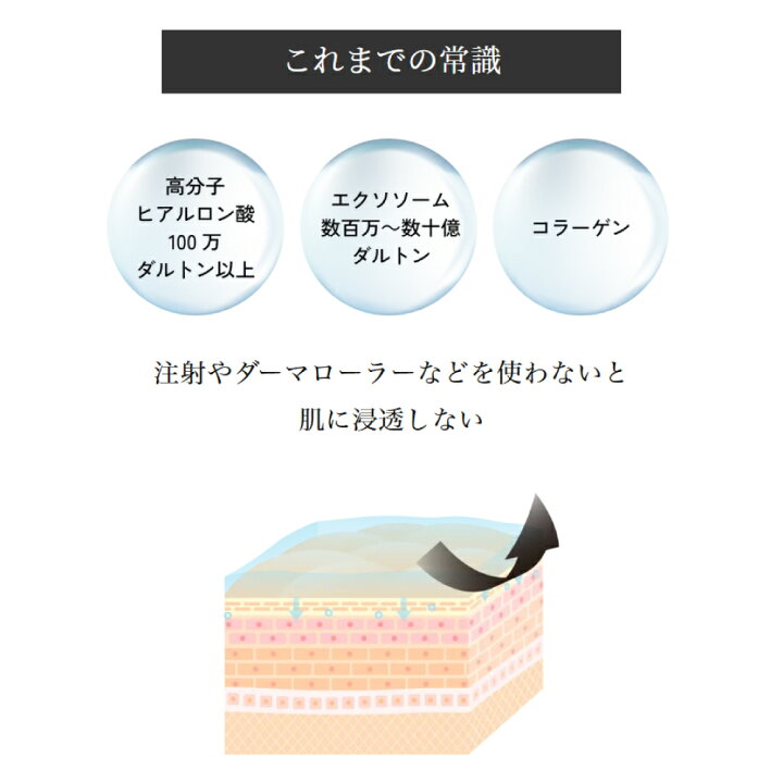 楽天市場】Mytreya VC20 CREAM 30g ビタミンC nanoPDS フェイス 