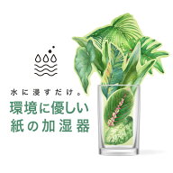 ペーパー加湿器（GREEN） エコ加湿器 日本製 電気不要 卓上 オフィス ペーパー加湿器 エコロジー おしゃ…