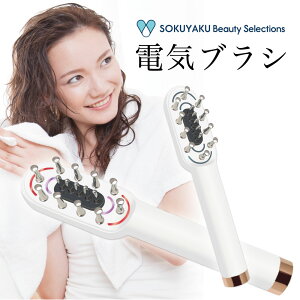 SOKUYAKUr[eB[ZNV dCuV yz z[PA tFCXPA  LED RF EP EMS @\ Tbp   wbhXp tFCXC GCWOPA GXe