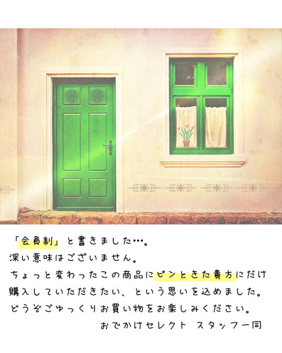 楽天市場 ｸｰﾎﾟﾝで最大5 Off 23 59迄 Iphone13 ケース 可愛い ペア カップル かっこいい ステッカー Iphone12 Mini Pro かわいい Iphone Se 第3世代 Se2 Se3 Iphone8 Plus おしゃれ 海外 個性的 クリア 透明 面白い シリコン ソフト Tpu 11 Xr Xs X 第2世代