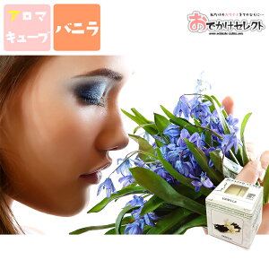 アロマオイル バニラの人気商品 通販 価格比較 価格 Com アロマオイル バニラの人気商品 通販 価格比較 価格 Com