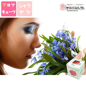 【クーポン有23:59迄】アロマオイル センティッドキューブ シャクヤク 芍薬 ピオニー フレグランス リラックス 癒やし 休憩 リラクゼーション お部屋で のんびり 心の 選択 リフレッシュ おうち時間