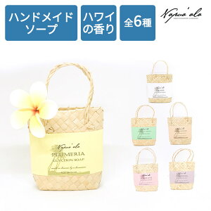 ivAA {fB[\[v pt[ nC Hawaii R  A nhCh  킢  C C nCG Mtg |[` ~jobO En҂ vA