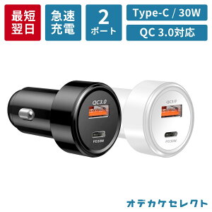 yԌ1290~1,000~z [d VK[\Pbg ^CvC iPhone ԍ [d Android X}z \Pbg VK[\Pbg USB|[g J[`[W[ PD [d QC}[d 30W USB Type-C 2|[g 2 R