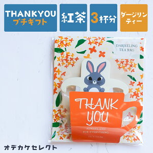 yX[p[SALEN[|Lzv`Mtg g eB[obO 킢 Mtg vZg   肪Ƃ  t { q  j  uC_ A   ٓ 