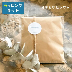 【クーポン有｜11日01:59迄】【プチギフトにオススメ！】プレゼント 包装プチSET ミニギフト ラッピング ギフトラッピング wrapping 誕生日 袋 ギフト おしゃれ ラッピング用品 ギフト用 オプション 紙袋 かわいい 小 シール 細い【返品交換不可】