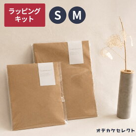 【プチギフトにオススメ！】プレゼント 包装プチSET ミニギフト ラッピング ギフトラッピング wrapping 誕生日 袋 ギフト おしゃれ ラッピング用品 ギフト用 オプション 紙袋 かわいい 小 シール 細い【返品交換不可】