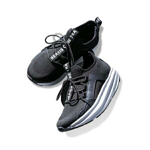 yz BEAXIS XRAXj[J[2.5 ubN _CGbgV[Y S