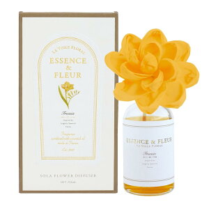 yz A[g{RNV EHEt[ \t[fBt[U [hfBt[U[ t[WA