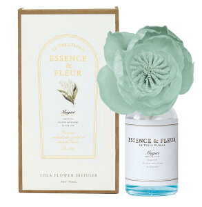 yz A[g{RNV EHEt[ \t[fBt[U [hfBt[U[ ~Q