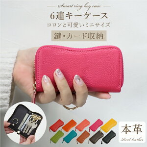 y11/11܂Ł|Cg50%Ҍ z e 6A {v X}[gL[ P[X ֗ JM L[O  P[X z_[  j key |Pbg @\ v U[ fB[X J[h Eht@