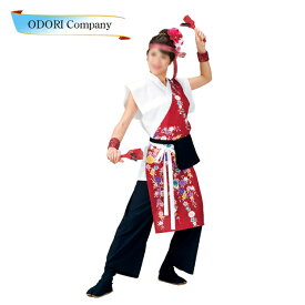 楽天市場 よさこい 衣装 手甲の通販