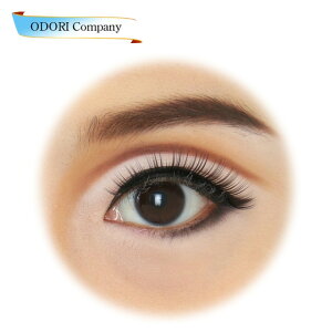 `Rbg Chacott ACCN ACbV t܂ ܂уGNXe