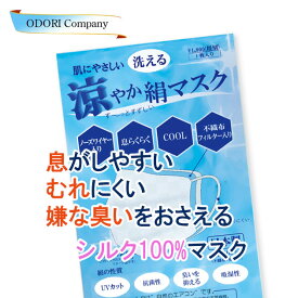 絹マスク 洗える 涼感 不織布フィルター入り 日本製 送料無料 即発送 涼やか絹マスク 正絹 シルク 特殊メッシュ 小杉製 マスクバンド 1枚入り