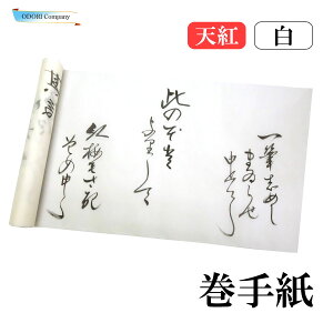 莆 ܂Ă 莆   Vg  xp m×p ㌀ 